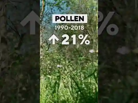 Climate change is making pollen season longer #shorts