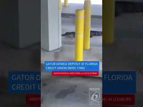 An alligator made a stop at a Central Florida bank