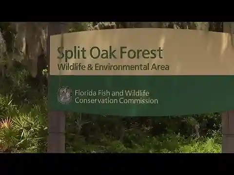 FWC approves Split Oak land deal as opponents jeer