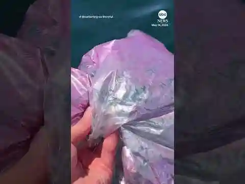 Family pulls dozens of balloons from sea during boat trip