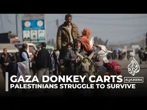 Palestinians in Gaza replace cars with donkey carts amid shortages