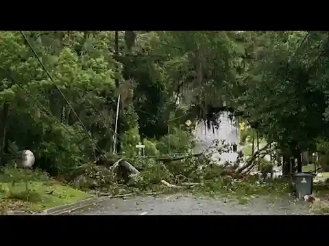 Photos show storm damage in Florida Panhandle