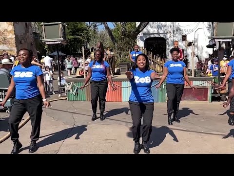 Disney, historically black sororities and fraternities partner for BHM step shows
