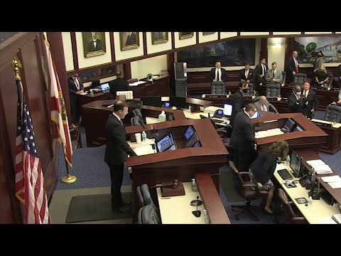 Florida House passes 15-week abortion ban