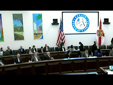 Florida Senate ready to consider 15-week abortion limit