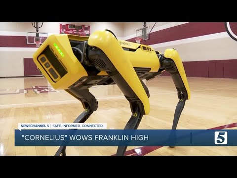 Franklin High's robot dog 'Cornelius' performs with cheerleaders