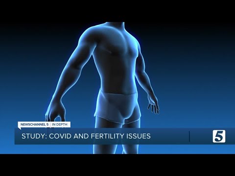 Research shows that COVID-19 vaccines do not cause infertility issues — but the virus itself can