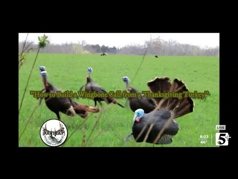Southern Woods and Waters: How to build a wingbone from Thanksgiving turkey (P1)
