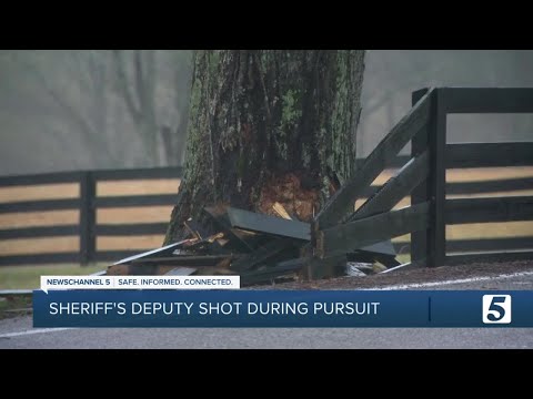 Williamson County deputy shot while attempting traffic stop