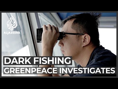 Dark fishing: Greenpeace investigation uncovers illegal activity