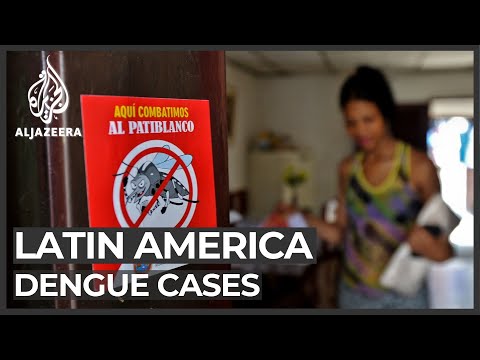 Dengue fever crisis grips Latin America