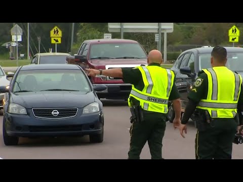 Deputies crack down on drivers in 'hands-free' zones