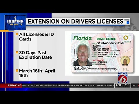 Gov. DeSantis extends driver license renewals