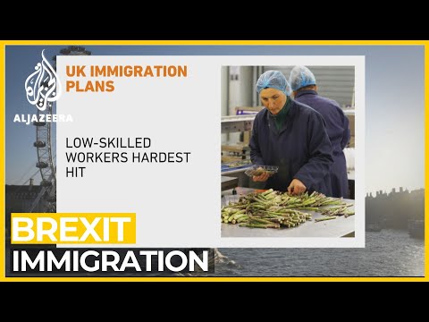 How will UK's post-Brexit immigration plan affect economy?