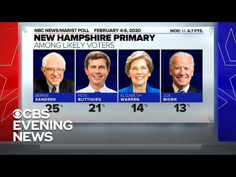 Sanders and Buttigieg lead New Hampshire polls