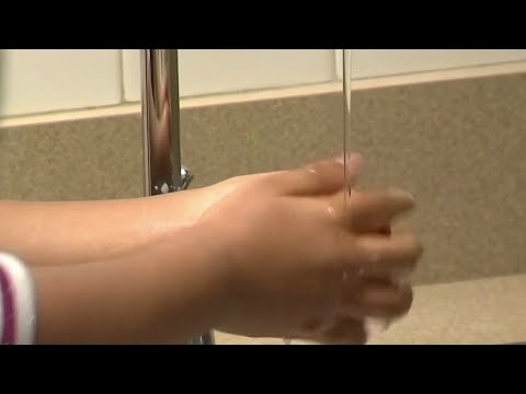 Seminole County students taught how to wash hands properly
