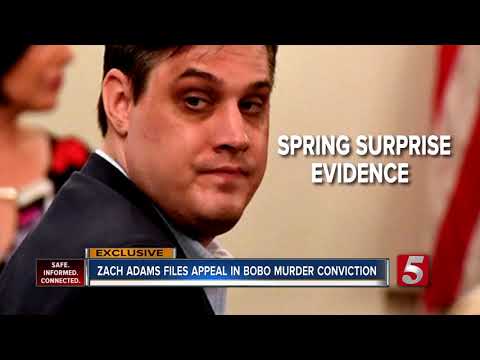 Zach Adams’ attorney cites 56 mistakes at Holly Bobo trial seeking appeal